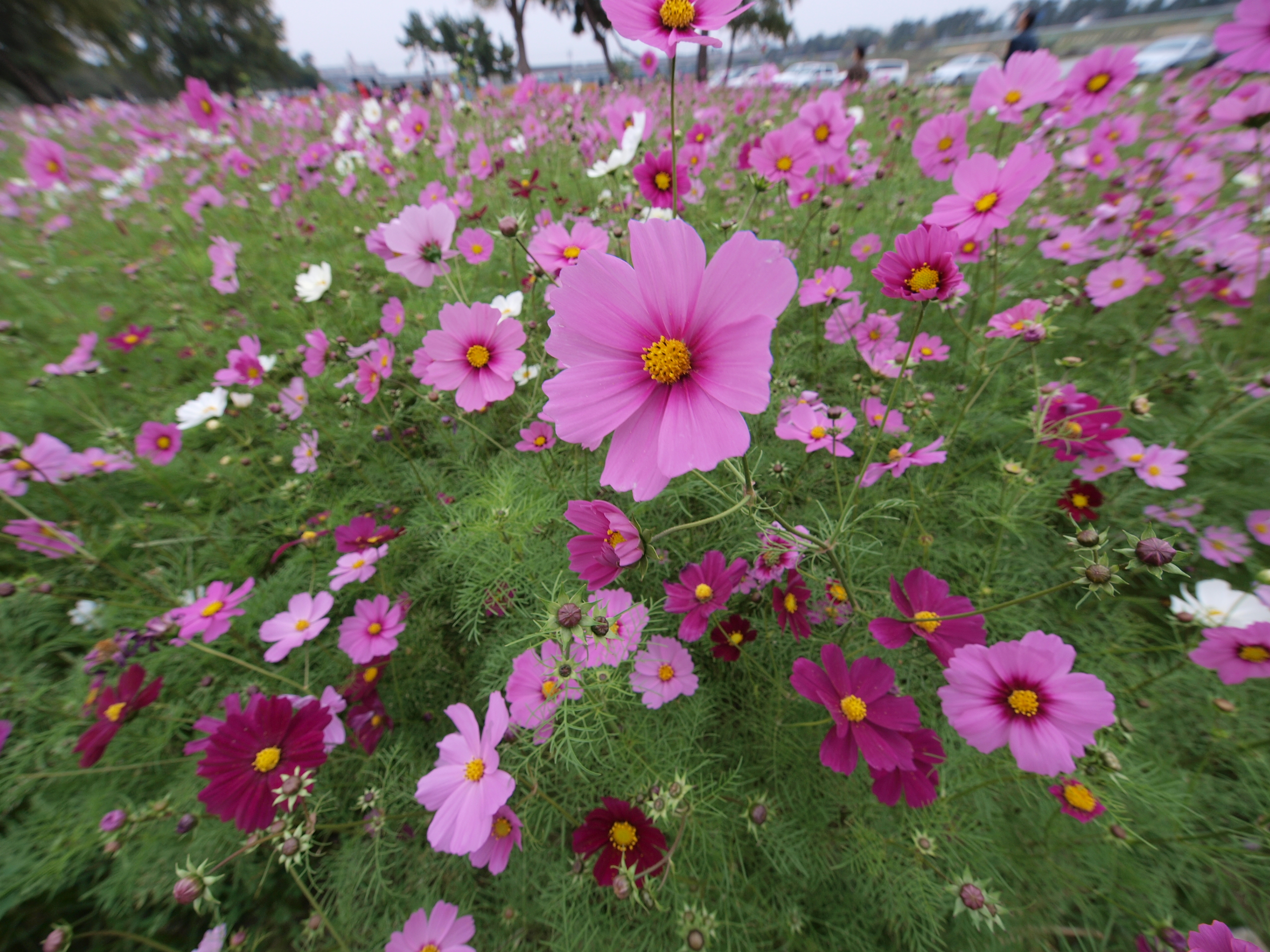 PB032015.JPG